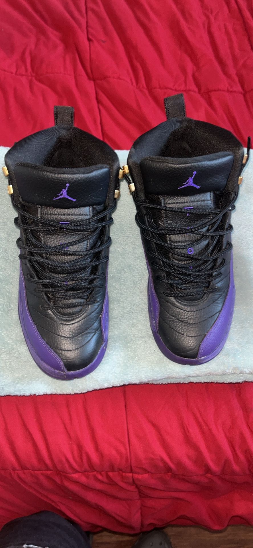 Jordan 12 *Field Purple*
