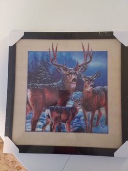 Brand New Deer 3D