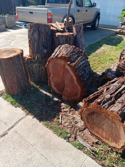 Massive Redwood Rounds / Rustic Project Wood / Old Growth Style