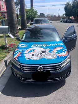 Dolphins  hood cover