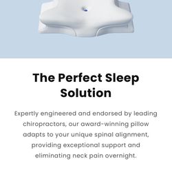 New! 2 Sleep Solution Foam Pillows 