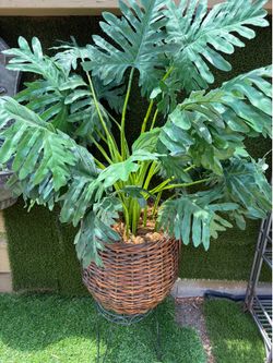 Artificial plant 25 Dollars