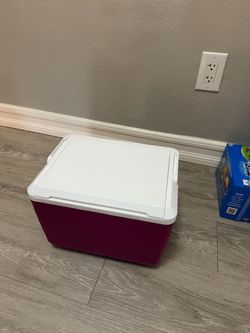 Mini Cooler