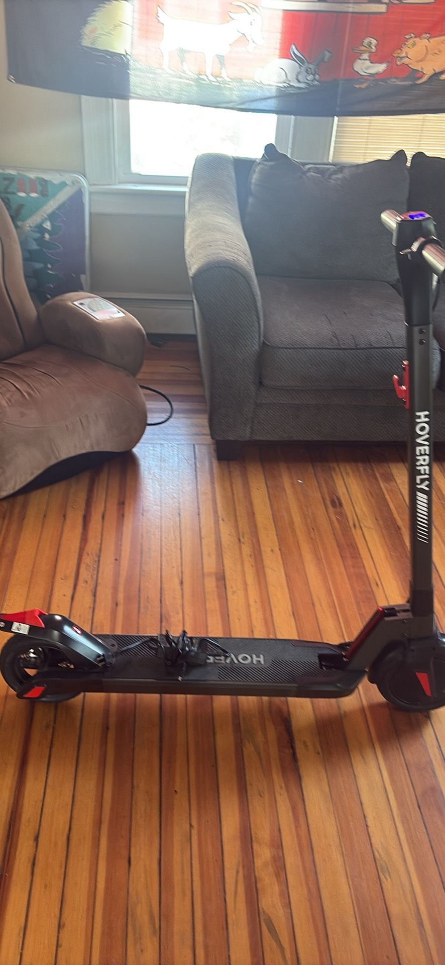 Electric Folding Scooter