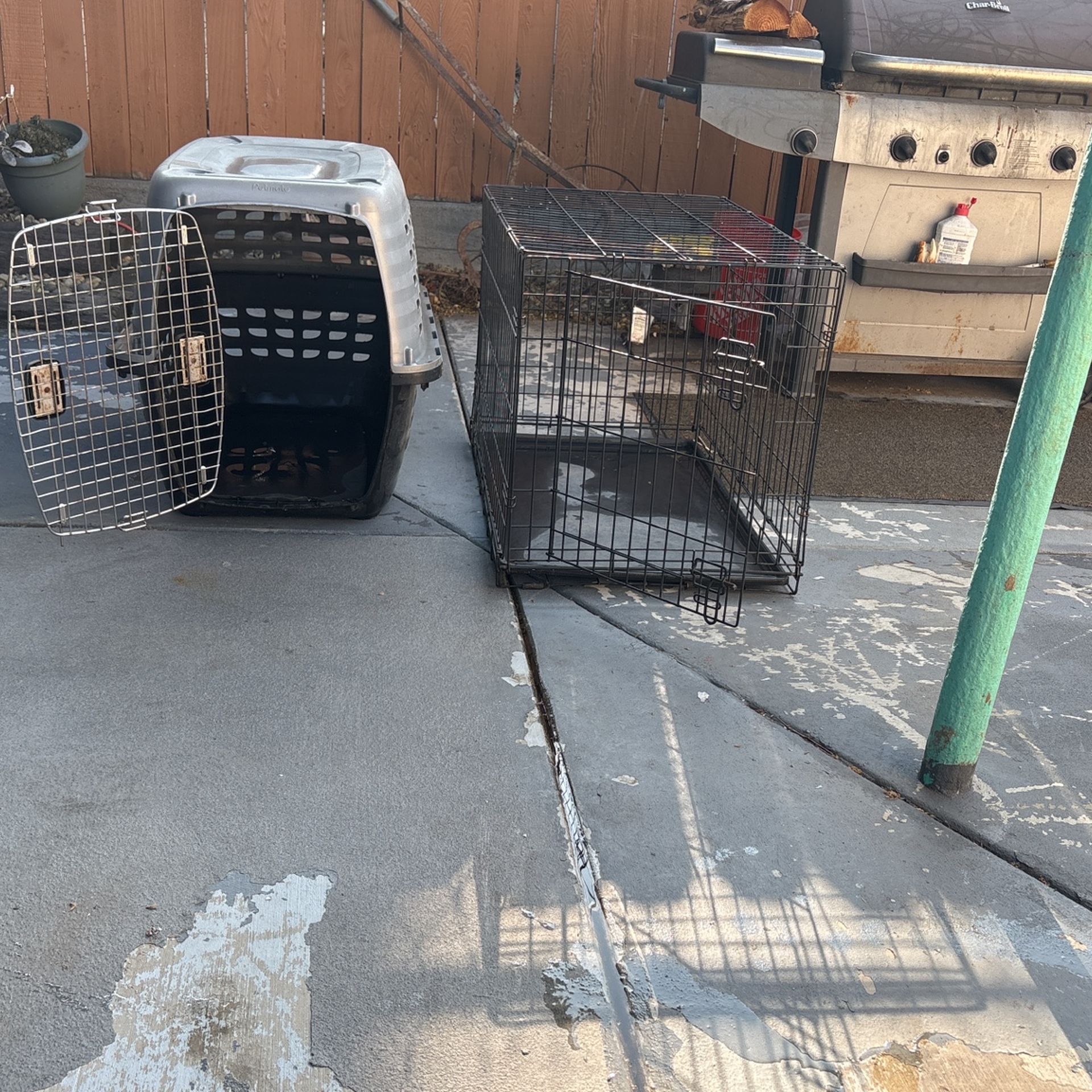 Kennels