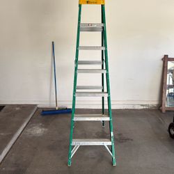7ft Ladder