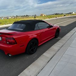 1999 Ford Mustang   Gt Smog Paper And New Tags   In Hand 