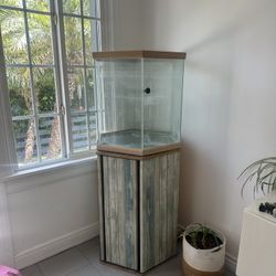 Large Fish Tank - 55 Gallons 