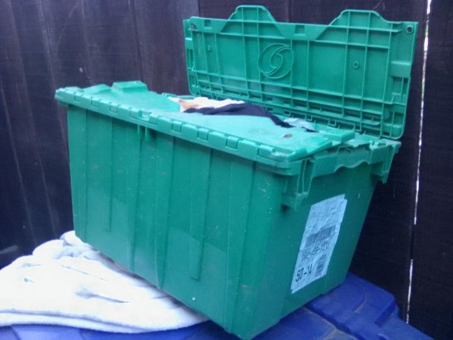 Storage CONTAINERS 