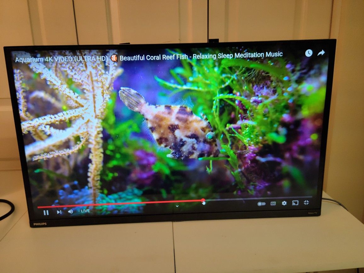 32 Inch Philips Roku Smart TV With Remote for Sale