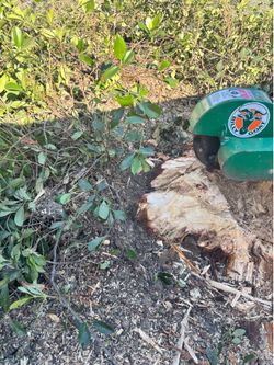 Tree work