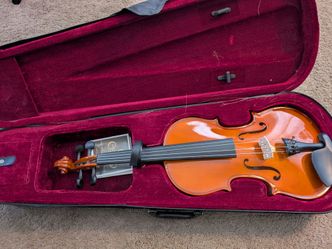 Viola