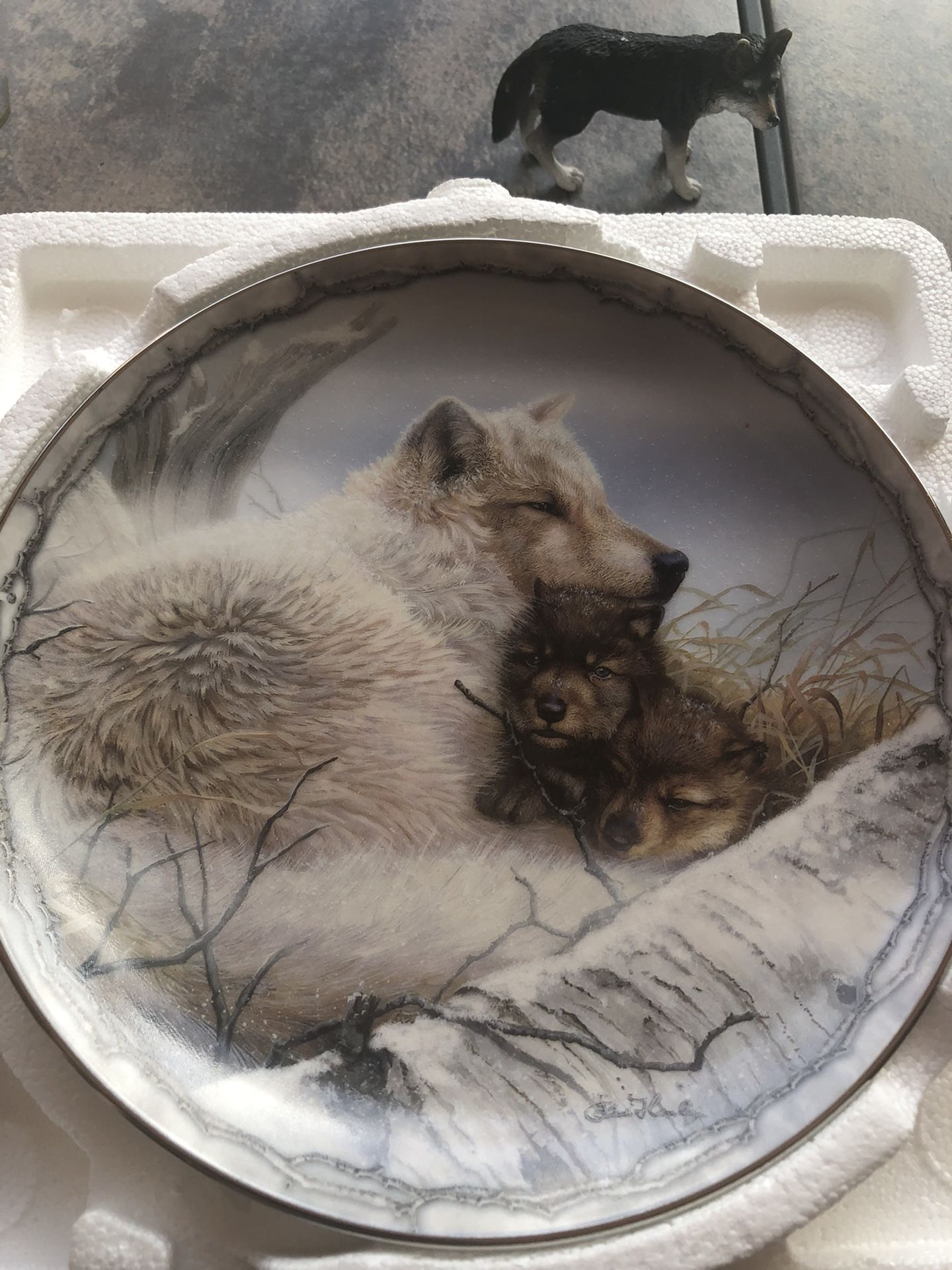Collection: Wolf plate, pictures