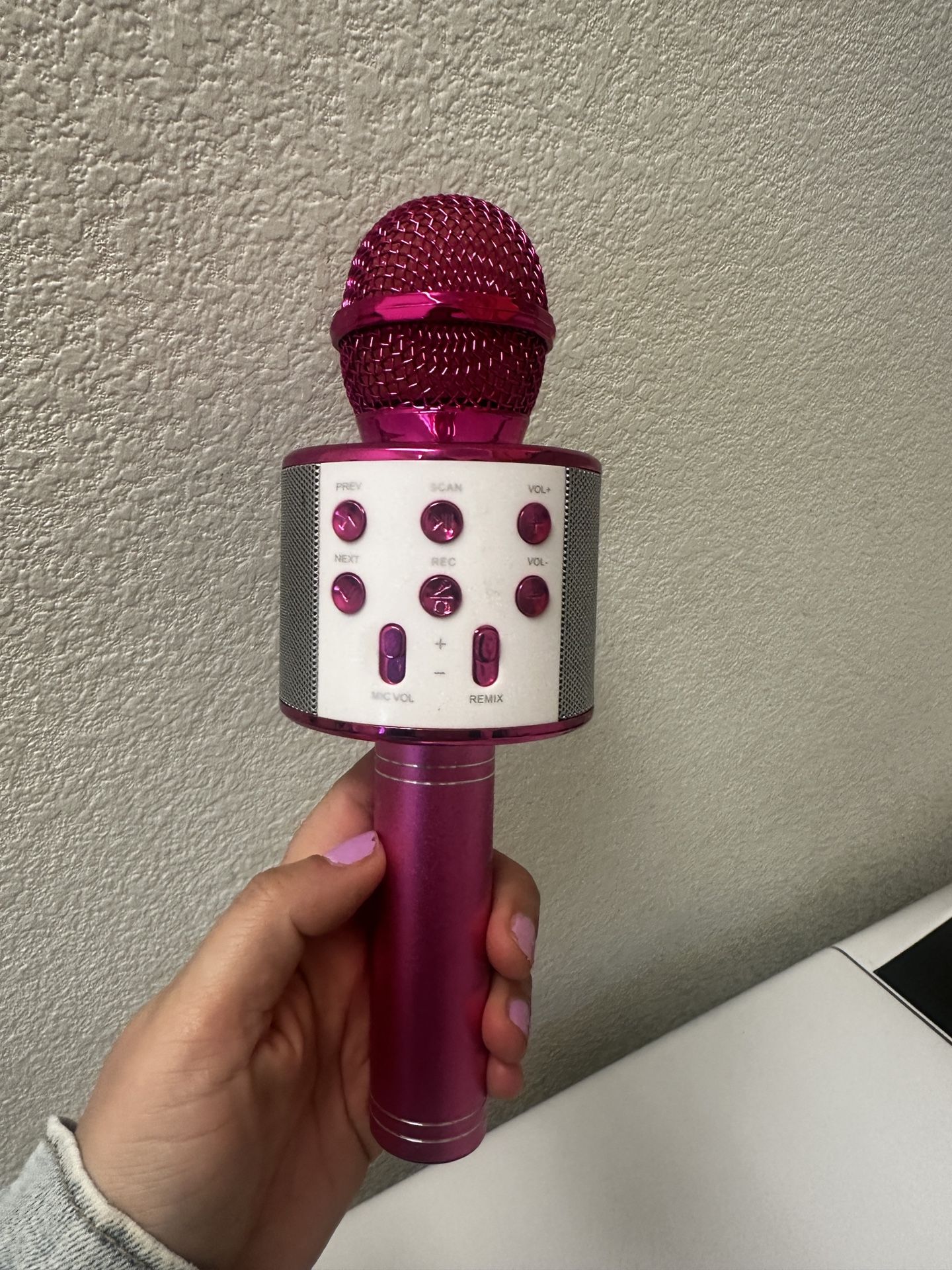 Microphone Toy