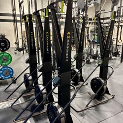 CONCEPT2 SKIERG with pm5 