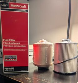 Motorcraft FD-4617  Fuel Filter (8C3Z-9N184-C)