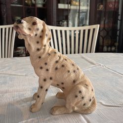 Beautiful Dog