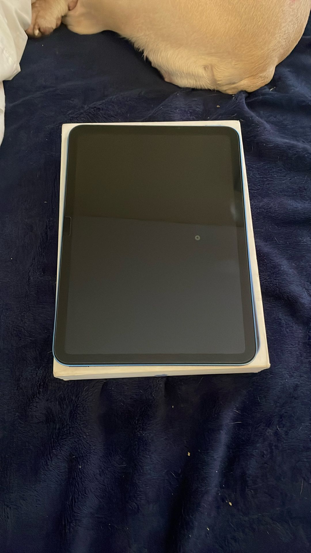 iPad 10th Generation & Apple Air Pods Pro ( 2nd Generation )