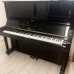 Excellent Condition Yamaha U3 Upright Piano Free Delivery/tuning/new Bench