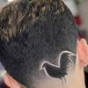El Gallo