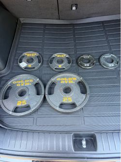 2 - 25 lbs universal plates, 2 - 5 lbs universal plates, 2 - 2.5 lbs plates , 2 - 10 lbs dumbbells