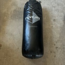 65 pound boxing bag & gloves