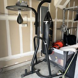 Heavy Bag/Speed Bag Combo Stand 