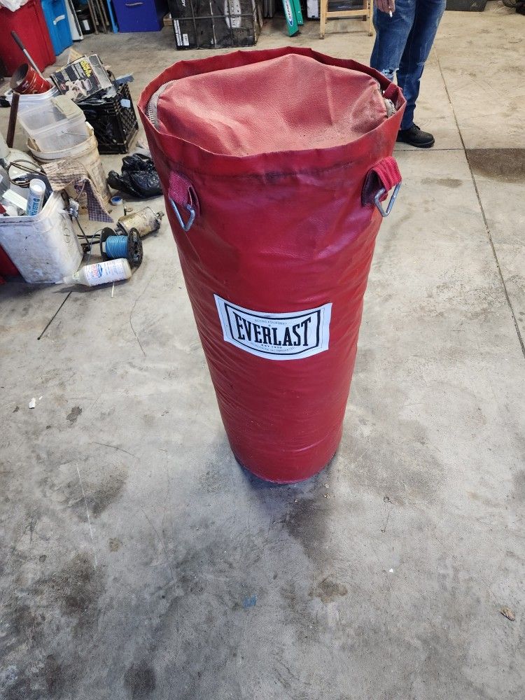 Everlast Punching Bag