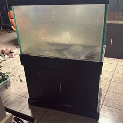 60 Gallon Tank