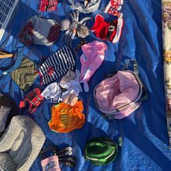 Dog Costumes And Clothes