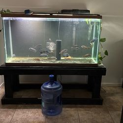 85 Gallon Aquarium