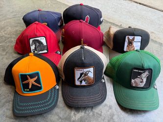 Goorin Bros Animal Farm Trucker Hats – Lot of 8