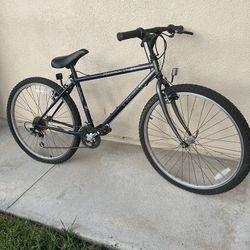 Mountain Bike As Is …Blue/silver