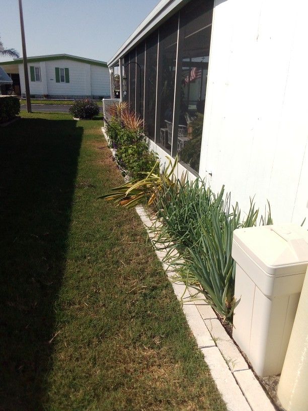 Professional Gardener