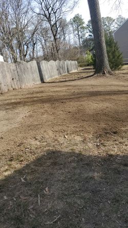 Trees