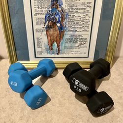 Two Sets of Dumbbell  Weights – 4 Pounds & 5 Pounds