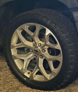 22” snowflakes