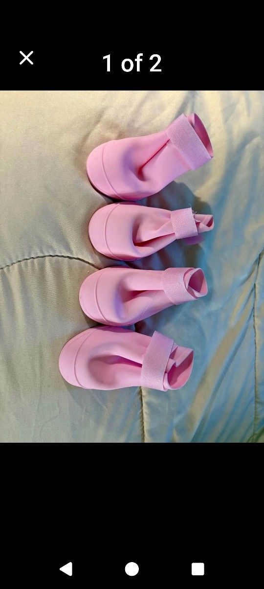 Doogie Shoes