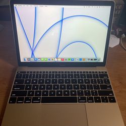 MacBook (Early 2016) 