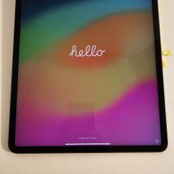 (WILLING TO HAGGLE) 2021 Apple iPad Pro 5th Gen 12x9 in. 256gb Factory Reset