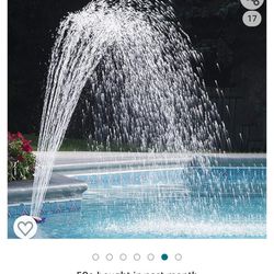 Pool Flower Fountain 