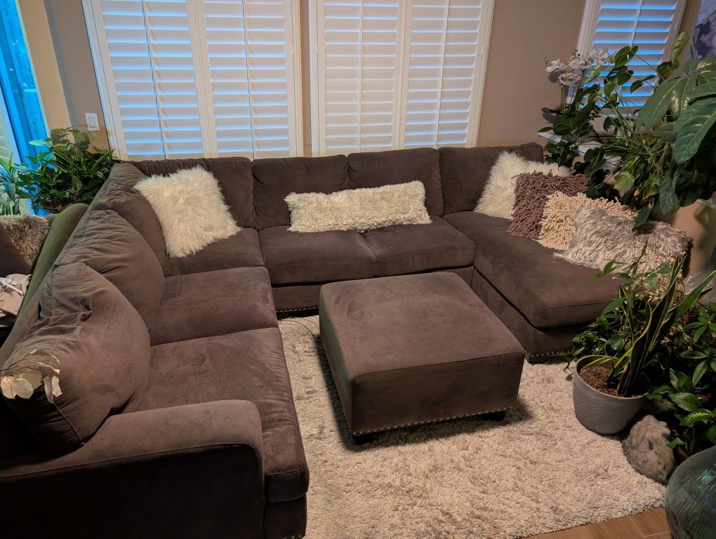Brown Couch