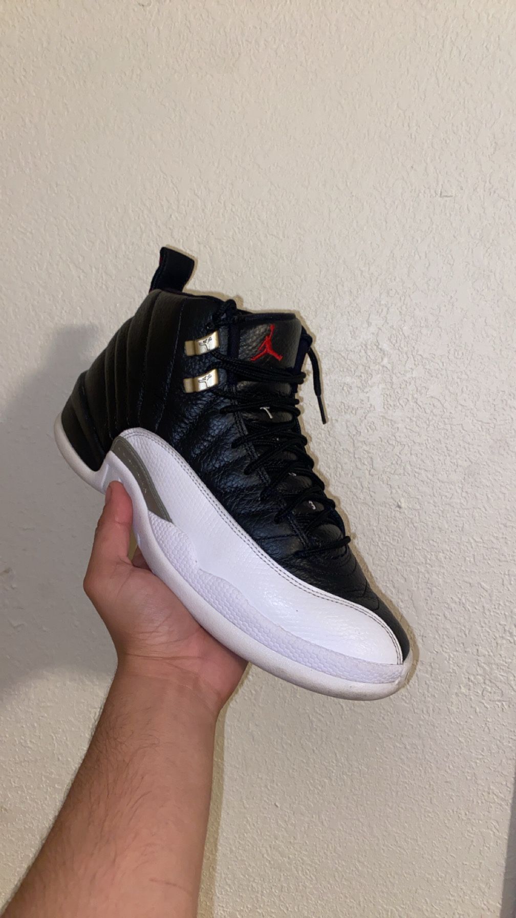 Jordan 12 Playoffs 
