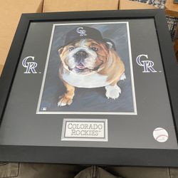 Denver Broncos Bulldog Drawing 