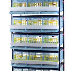 Quail Cage ( Quail For Sell