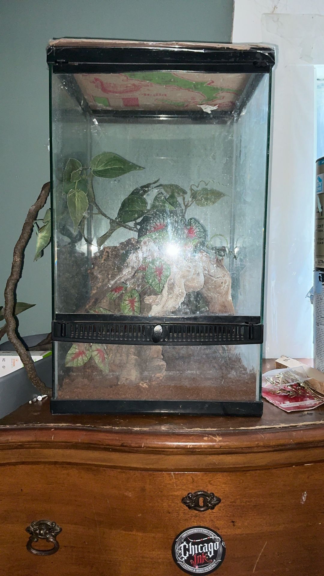 Small Gecko Cage Brand Zilla