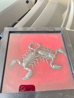 Scorpions in Red Suede Picture Frame