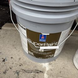 Intellectual Grey Paint 