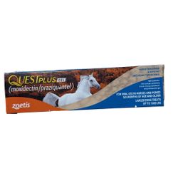 Quest Plus 