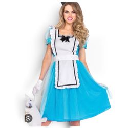 Women's Classic Alice Costume Size Large (12-14)